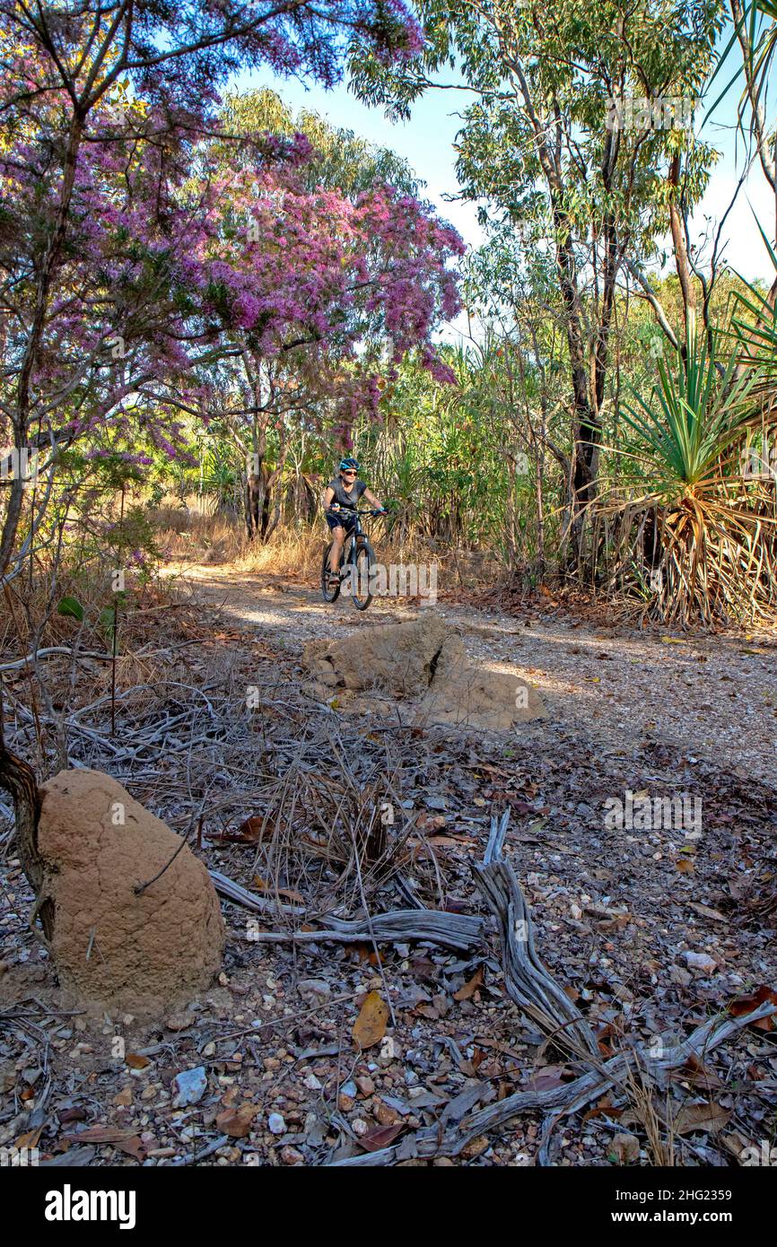 Charles darwin national park australia hires stock photography and