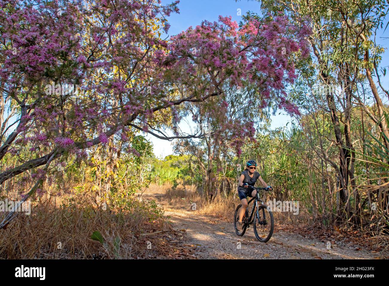 Charles darwin national park hires stock photography and images Alamy