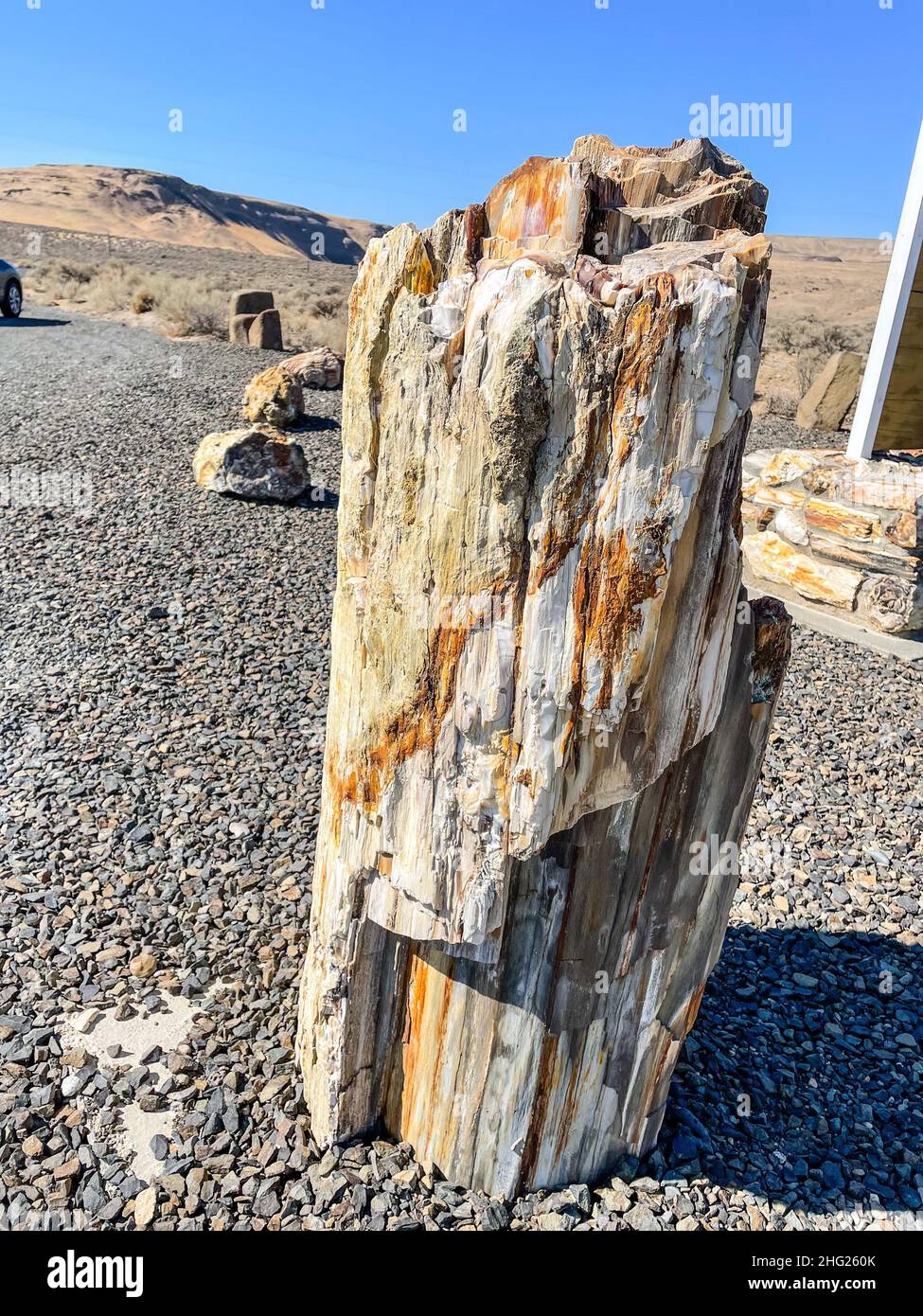 Ginkgo Petrified Forest State Park/Wanapum Recreational Area is a geologic preserve and public recreation area covering 7,124-acre (2,883 ha) on the w Stock Photo