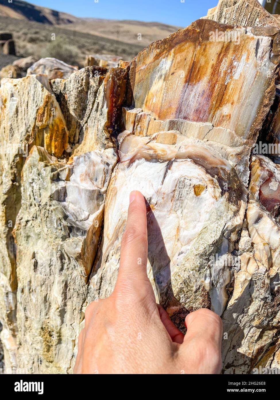 Ginkgo Petrified Forest State Park/Wanapum Recreational Area is a ...