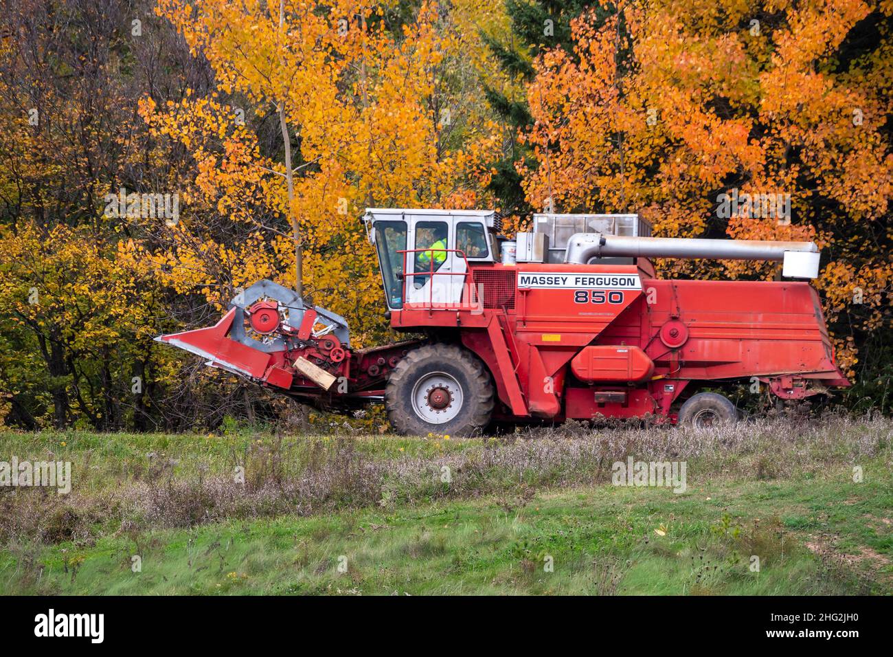 Massey Ferguson Combine Harvester Model 850, driving past autumn leaves along a country road. Stock Photo