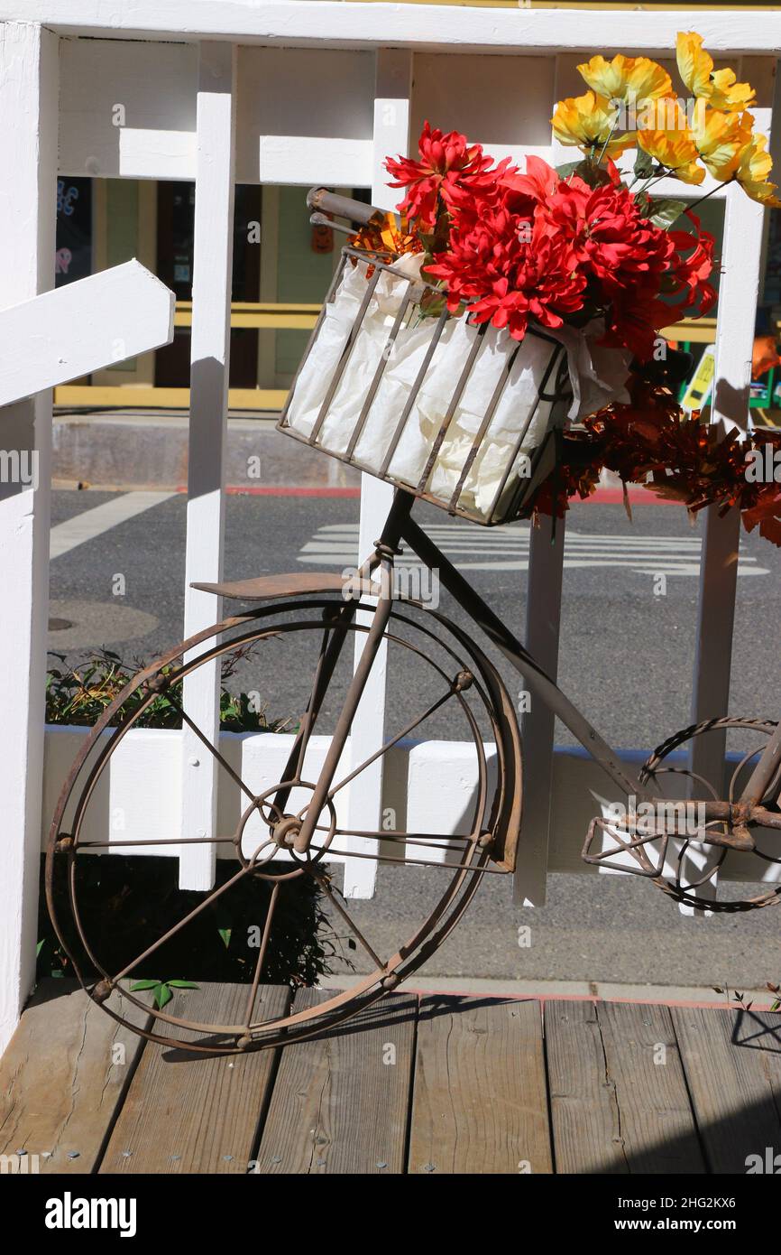 Vintage bike with bright red and yellow silk flowers in a white wicker basket stands outside a store, welcoming fall. Stock Photo