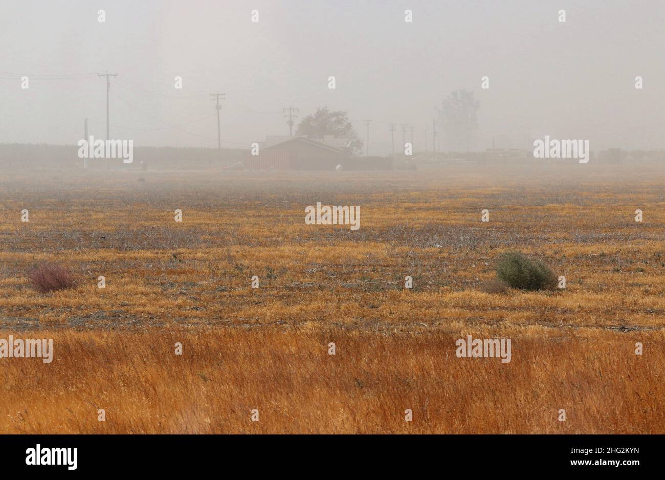 A dust storm settles over rural farmland during a season of drought.  Central Valley, northern California, Nov. 2021 Stock Photo