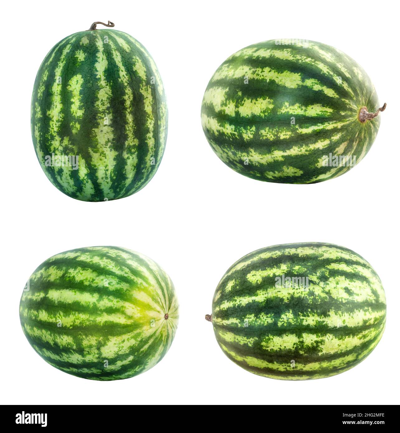 Fresh watermelon whole collection isolated on white background Stock Photo
