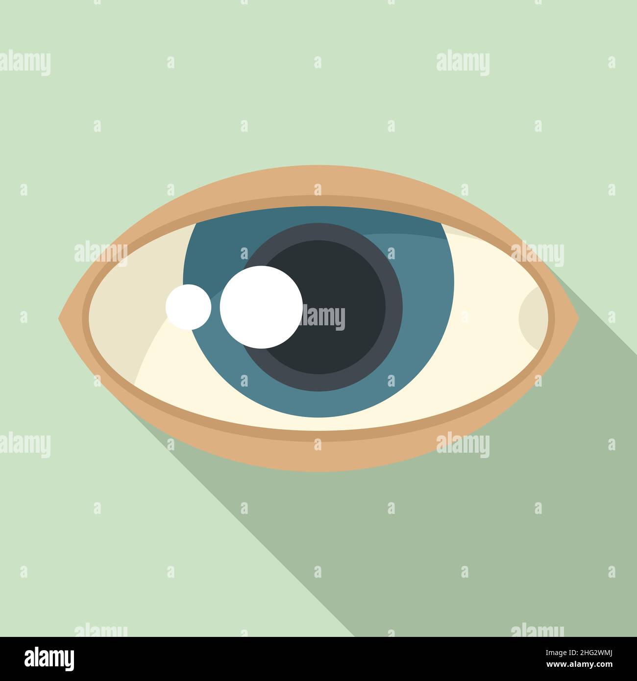 Eye view icon flat vector. Look vision. Medicine see Stock Vector Image ...