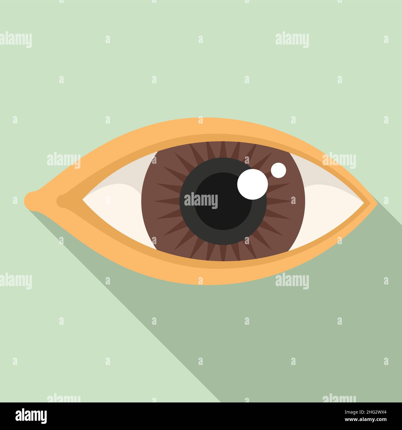 Lens eye icon flat vector. Vision look. Human optical Stock Vector ...