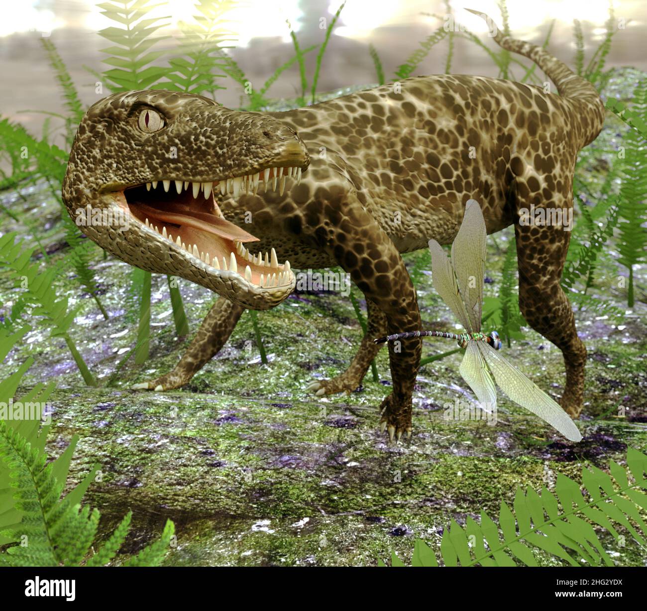 Deinosuchus prehistoric crocodilian, illustration - Stock Image - C049/0078  - Science Photo Library