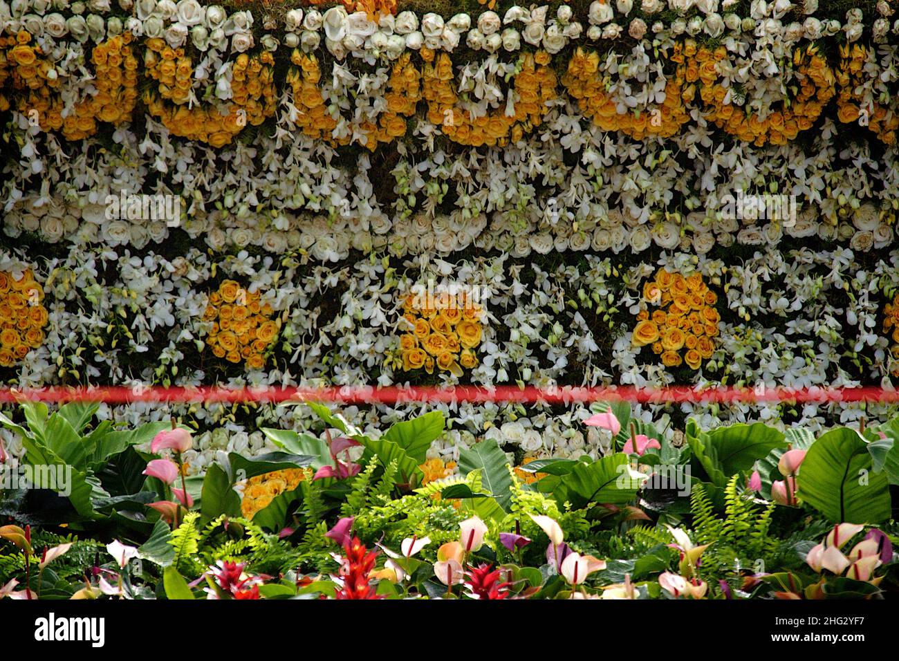 Variety of flowers and plants used for decoration at Republic Day Flower Show, Lalbagh, Bengaluru, Karnataka, India, Asia Stock Photo