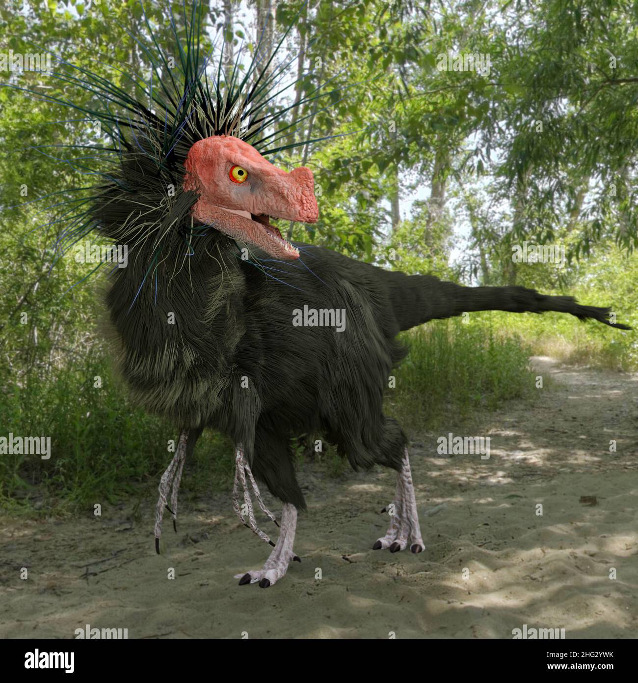 The dinosaur Ornitholestes running through a forest in this late Jurassic scene. Depicted with feathers and fur. Stock Photo