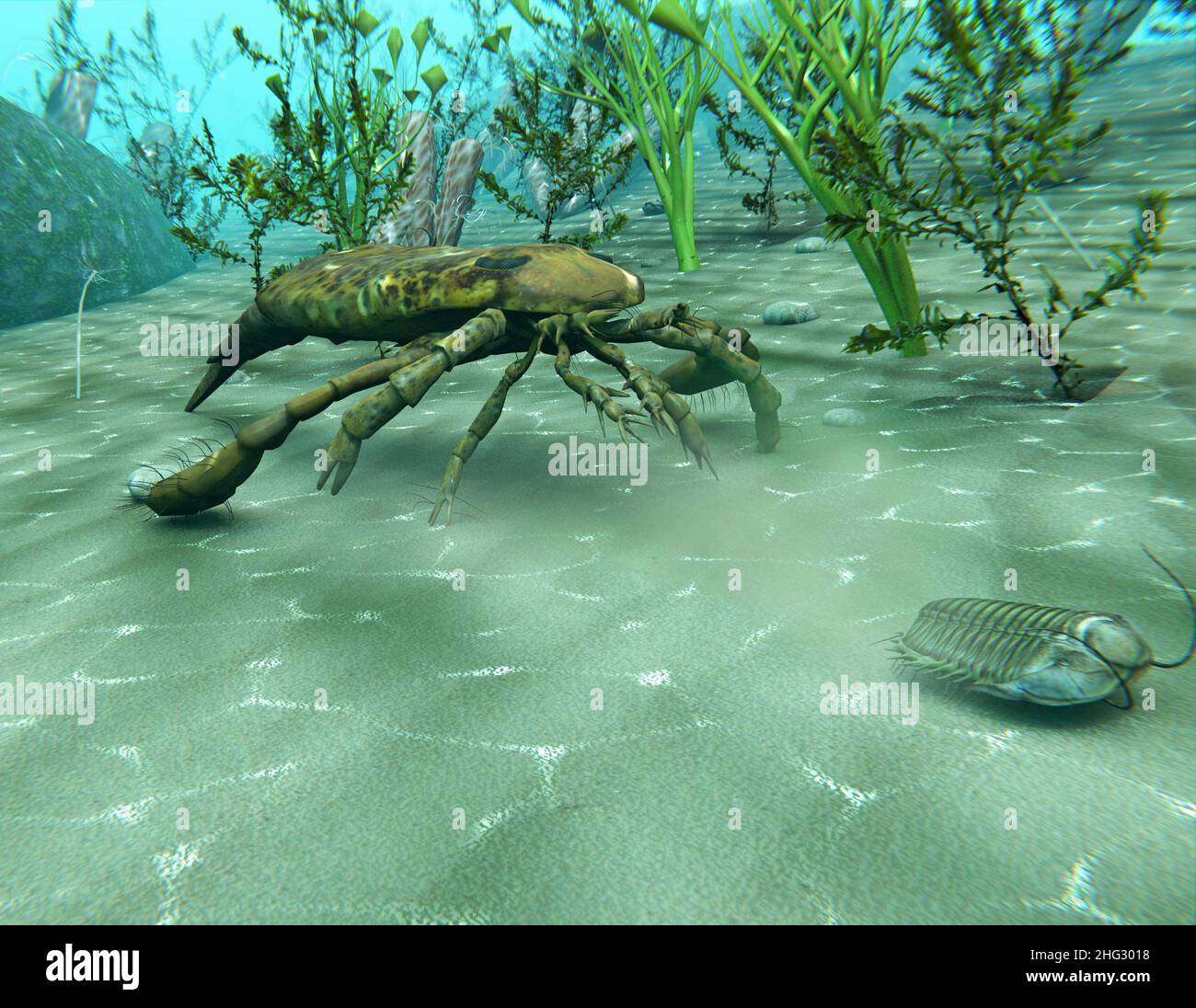 An illustration of Eurypterus (Sea Scorpion) chasing a Trilobite in an underwater scene from the Ordovician Period (300 million years ago) Stock Photo