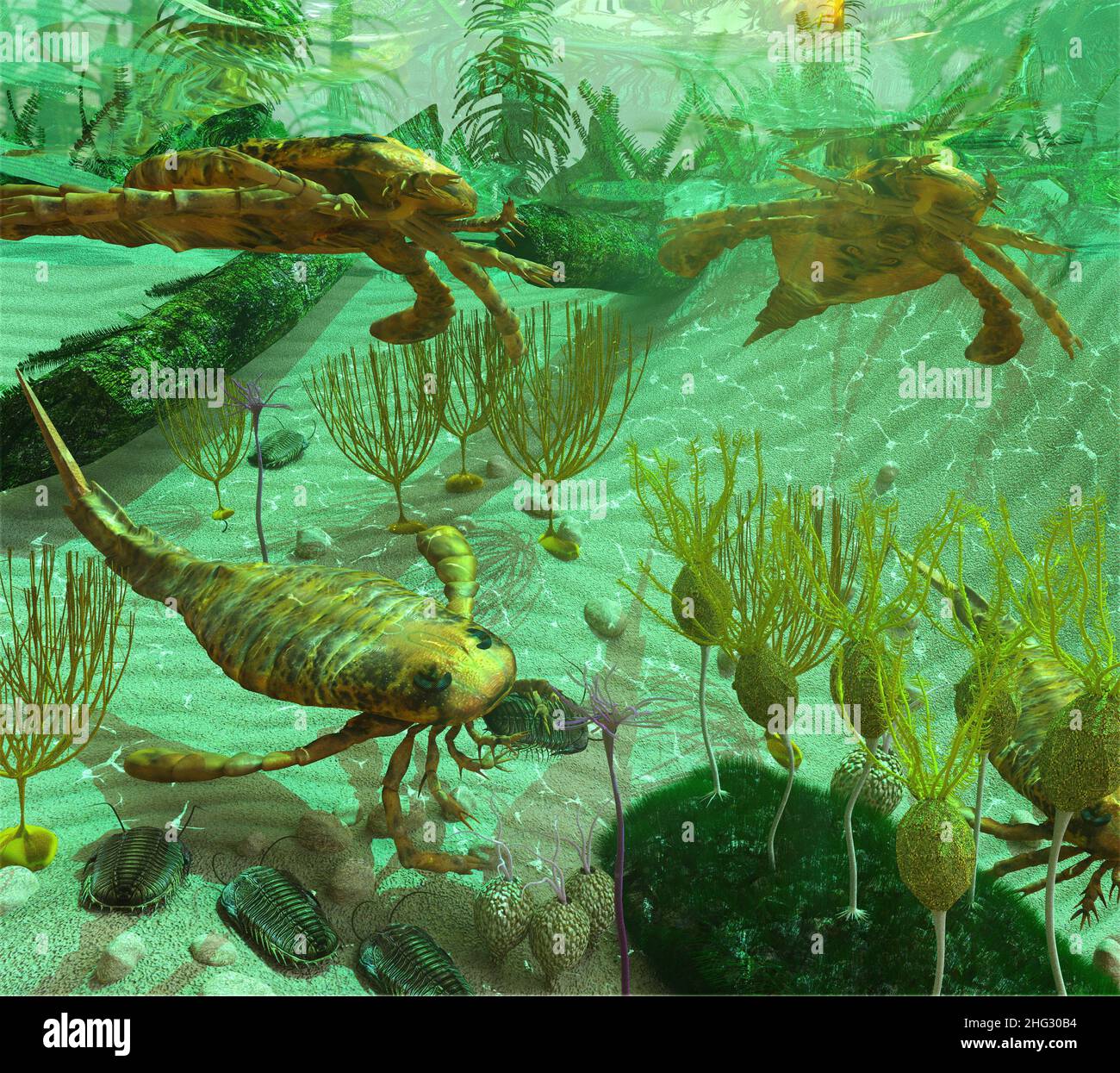 An illustation depicting life in a Devonian Period sea (419 to 358 million years ago). Shown are: Trilobites, Euryptids, Blastoids, Crinoids, Stock Photo