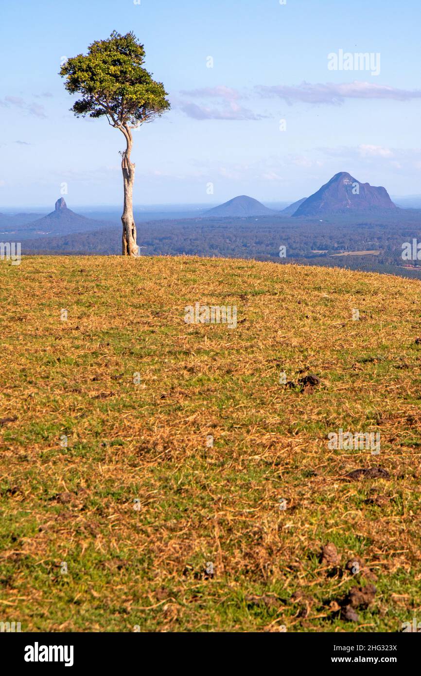 View to Glass House Mountains from near Maleny Stock Photo
