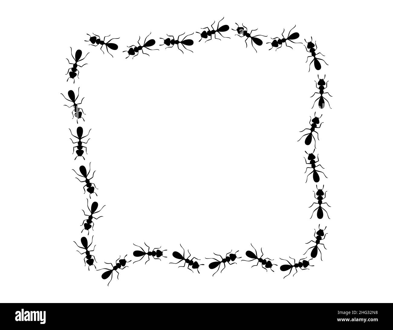 Black ants square border. Ants forming messy rectangular shape isolated