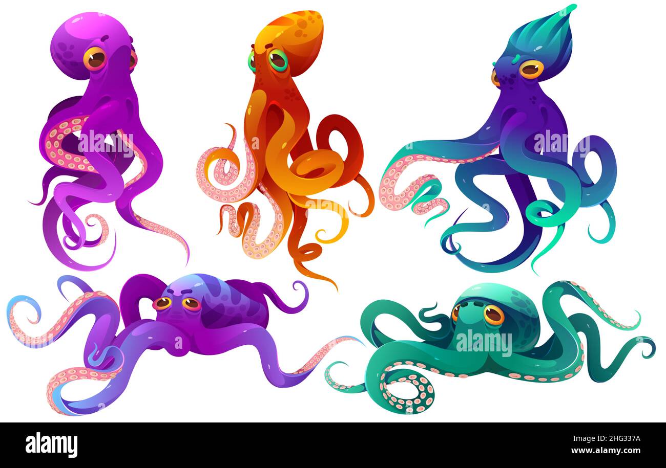 Cartoon octopuses sea animals, underwater ocean creatures with colorful skin and long tentacles. Water kraken, cephalopoda characters with big eyes and feelers in different poses, isolated vector set Stock Vector