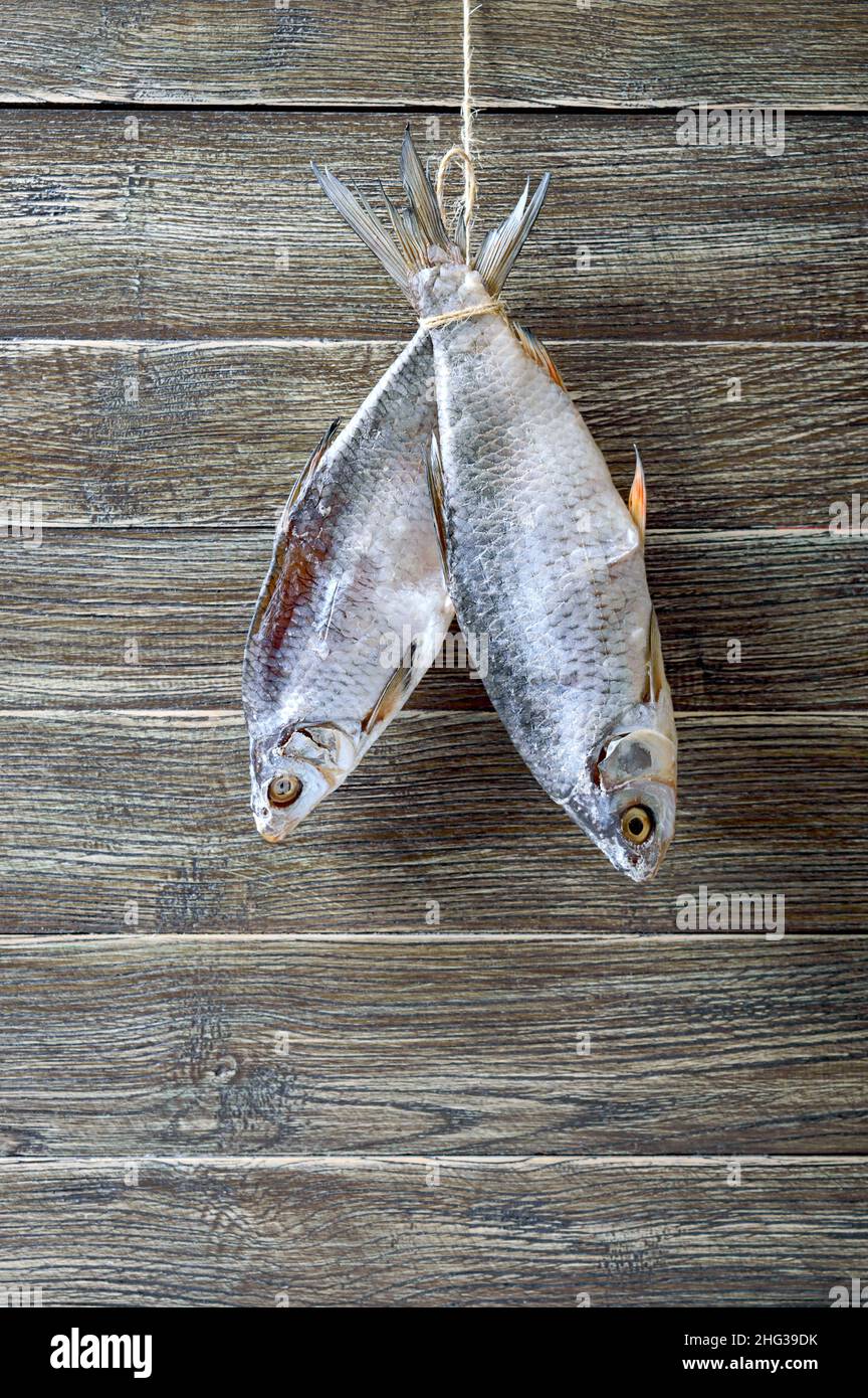 Dried salty river fish hanging on a twine on a wooden background. Vertical view Stock Photo