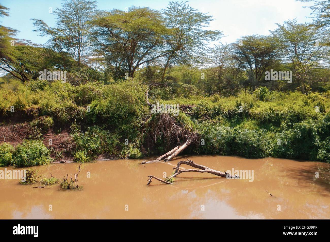 Scenic view of acacia trees growing along Athi River in Nairobi National Park, Kenya Stock Photo