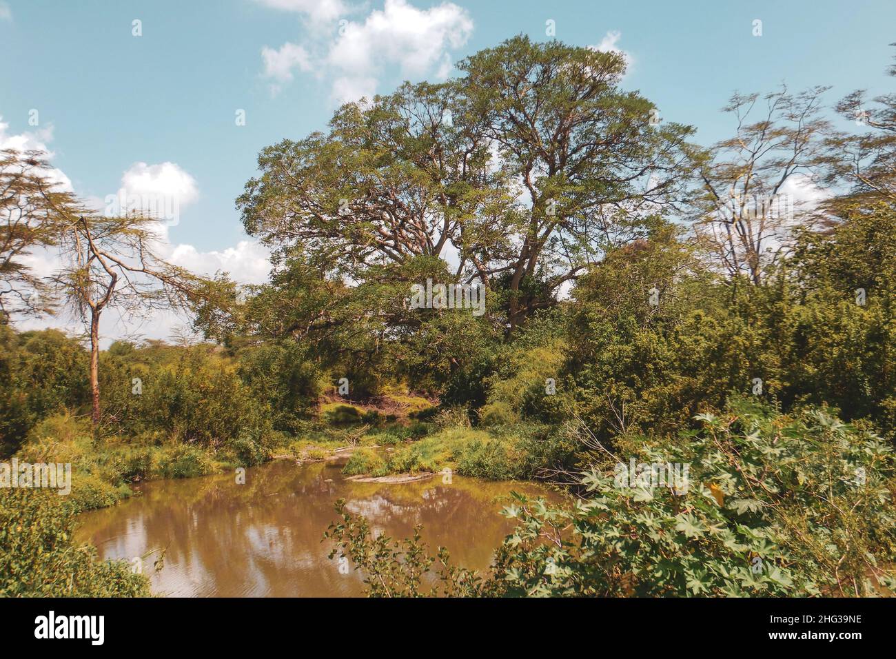 Athi River Hi res Stock Photography And Images Alamy athi-river-hi-res-stock-photography-and-images-alamy
