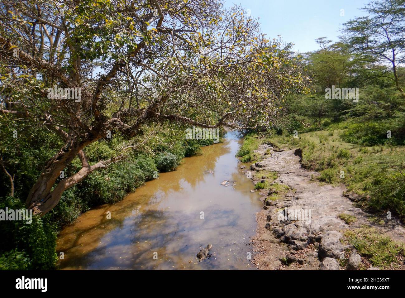 Athi River Hi res Stock Photography And Images Alamy athi-river-hi-res-stock-photography-and-images-alamy