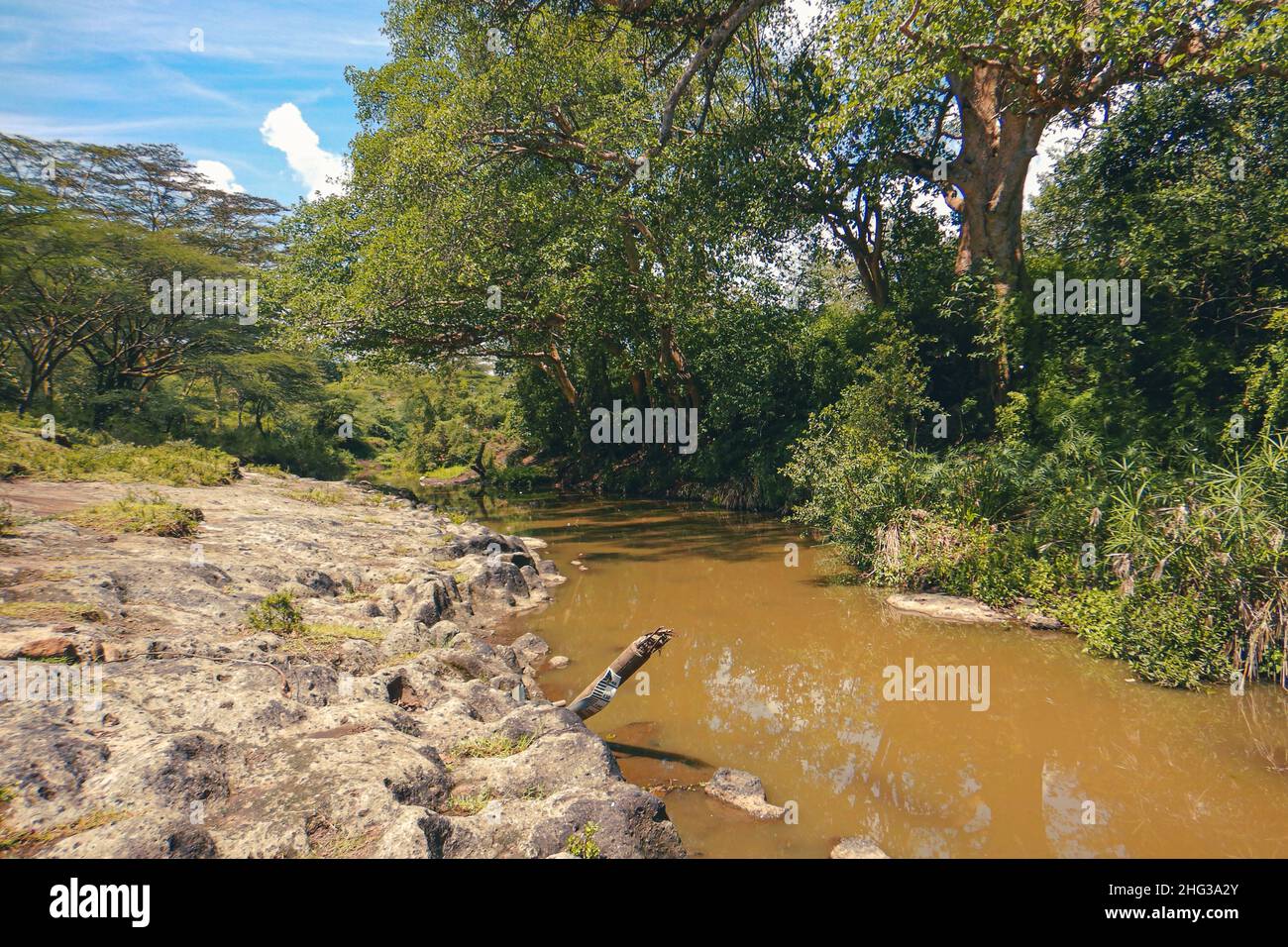 Scenic view of acacia trees growing along Athi River in Nairobi National Park, Kenya Stock Photo