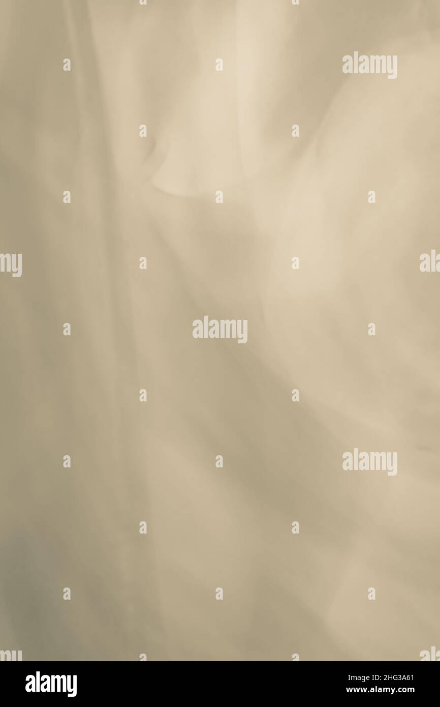 Vintage vertical background, crumpled paper, sepia. Stock Photo