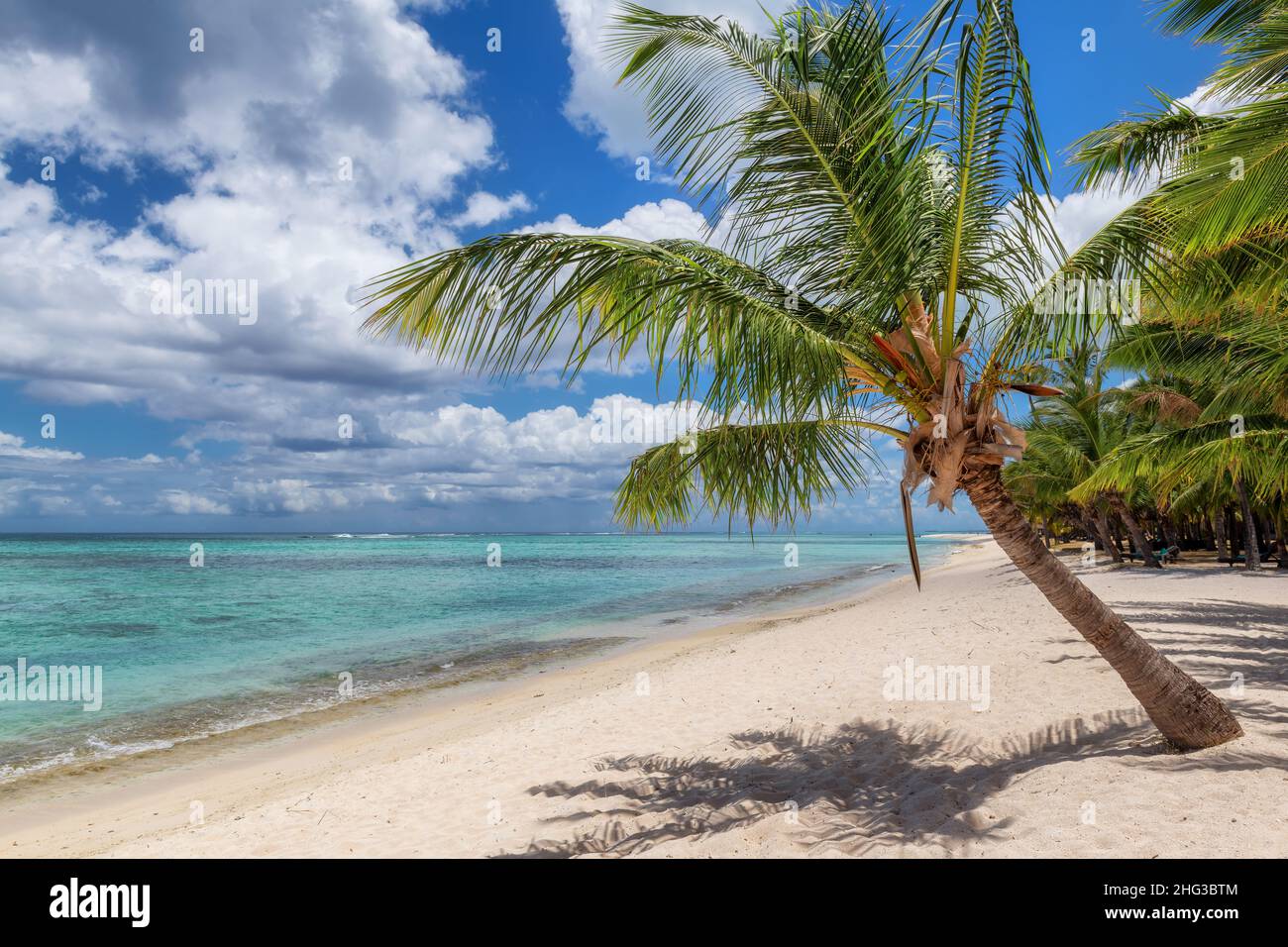 Paradise beach with white sand and coco palms. Stock Photo