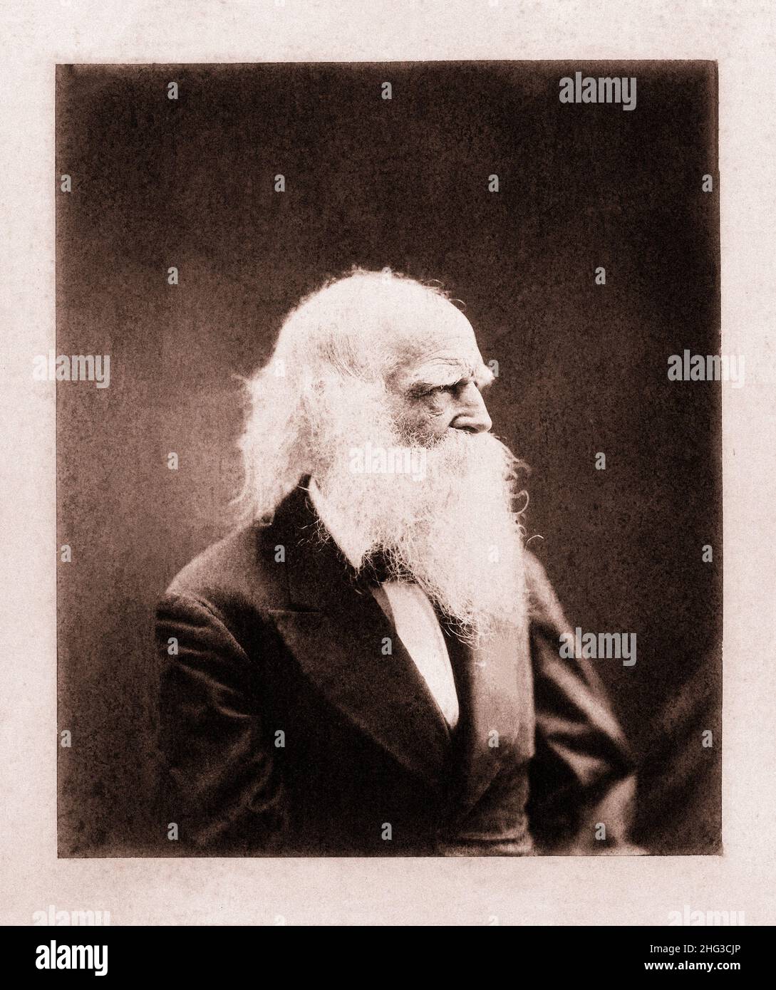 Vintage lithograph of William Cullen Bryant.  William Cullen Bryant (1794 – 1878) was an American romantic poet, journalist, and long-time editor of t Stock Photo