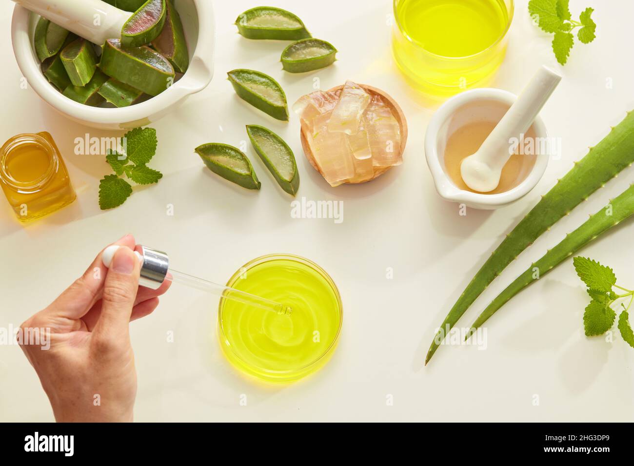 Aloe ve hi-res stock photography and images - Alamy