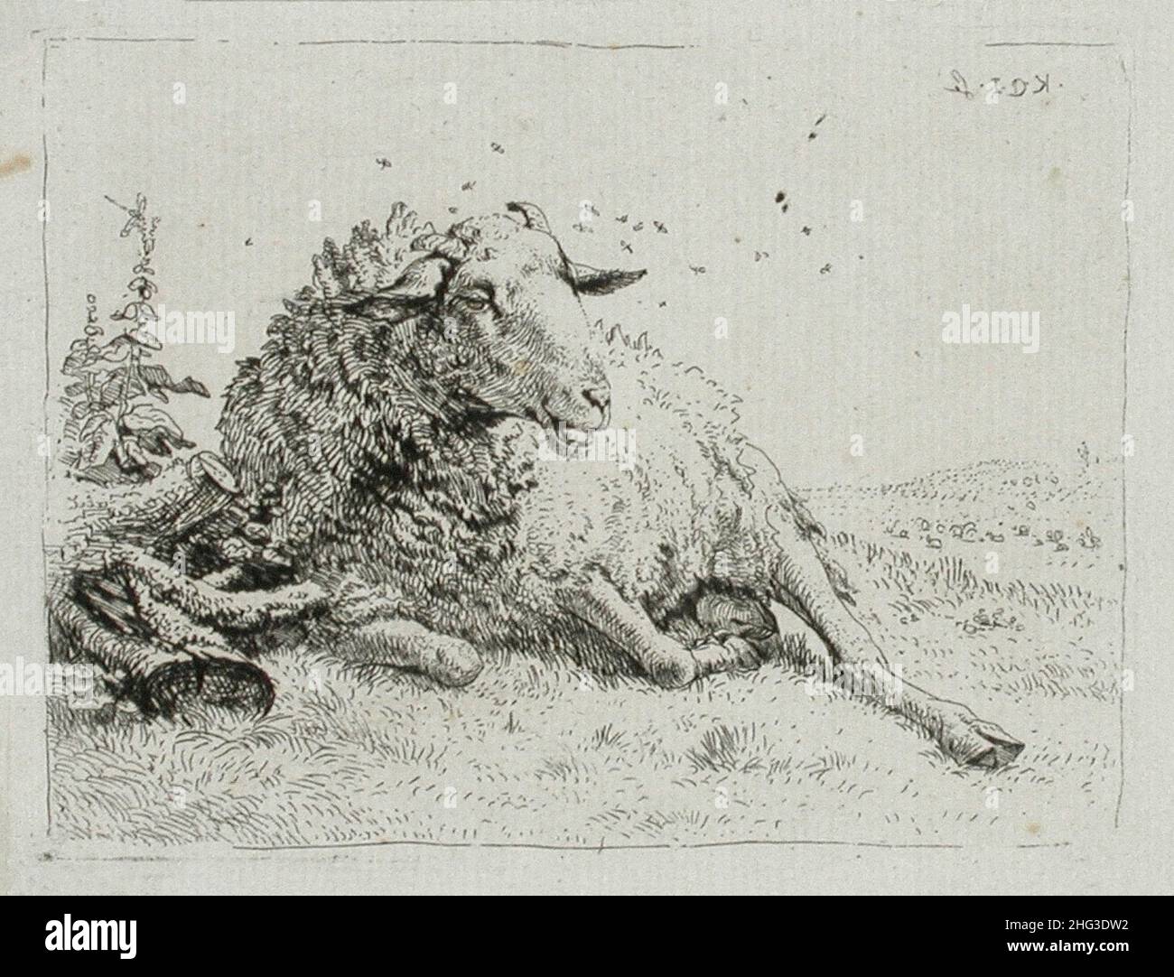 The 17th century engraving of Lamb next to tree root. By Karel Dujardin (1626-1678). Stock Photo