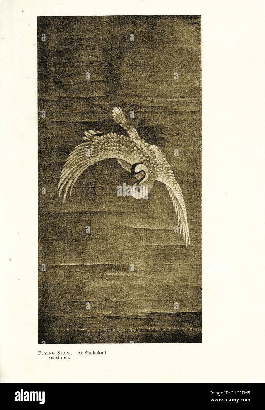Chinese medieval painting: Flying Stork. At Shokoku-ji. Renchiren. Reproduction of book illustration of 1912 Stock Photo