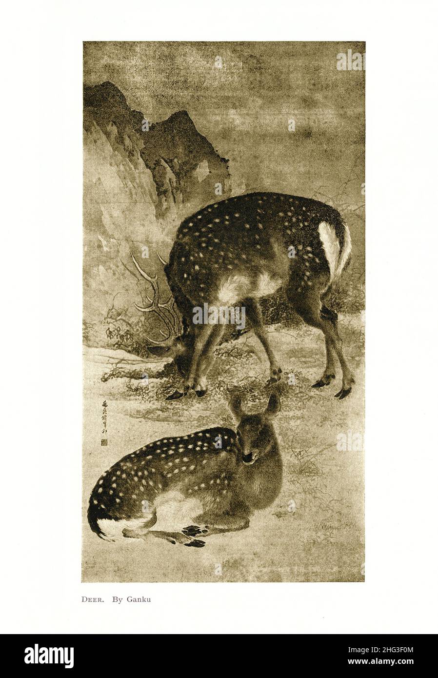 19th century Japanese painting: Deer. By Kishi Ganku. Reproduction of book illustration of 1912 Kishi Ganku (1749 – 1839), or more formally Kishi Ku, Stock Photo