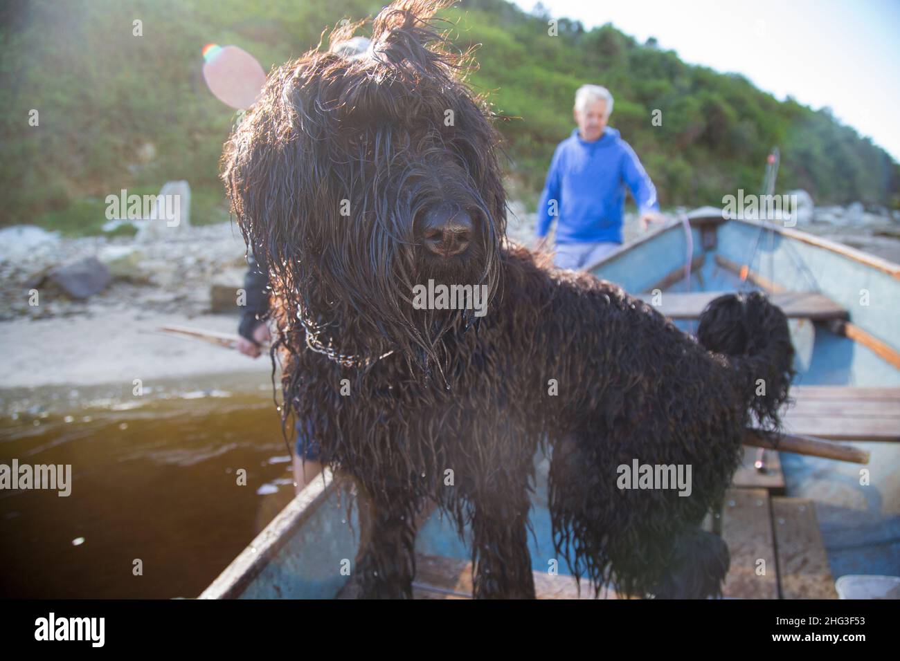 Black Russian Terrier Puppy on a river boat with her family. Stock Photo