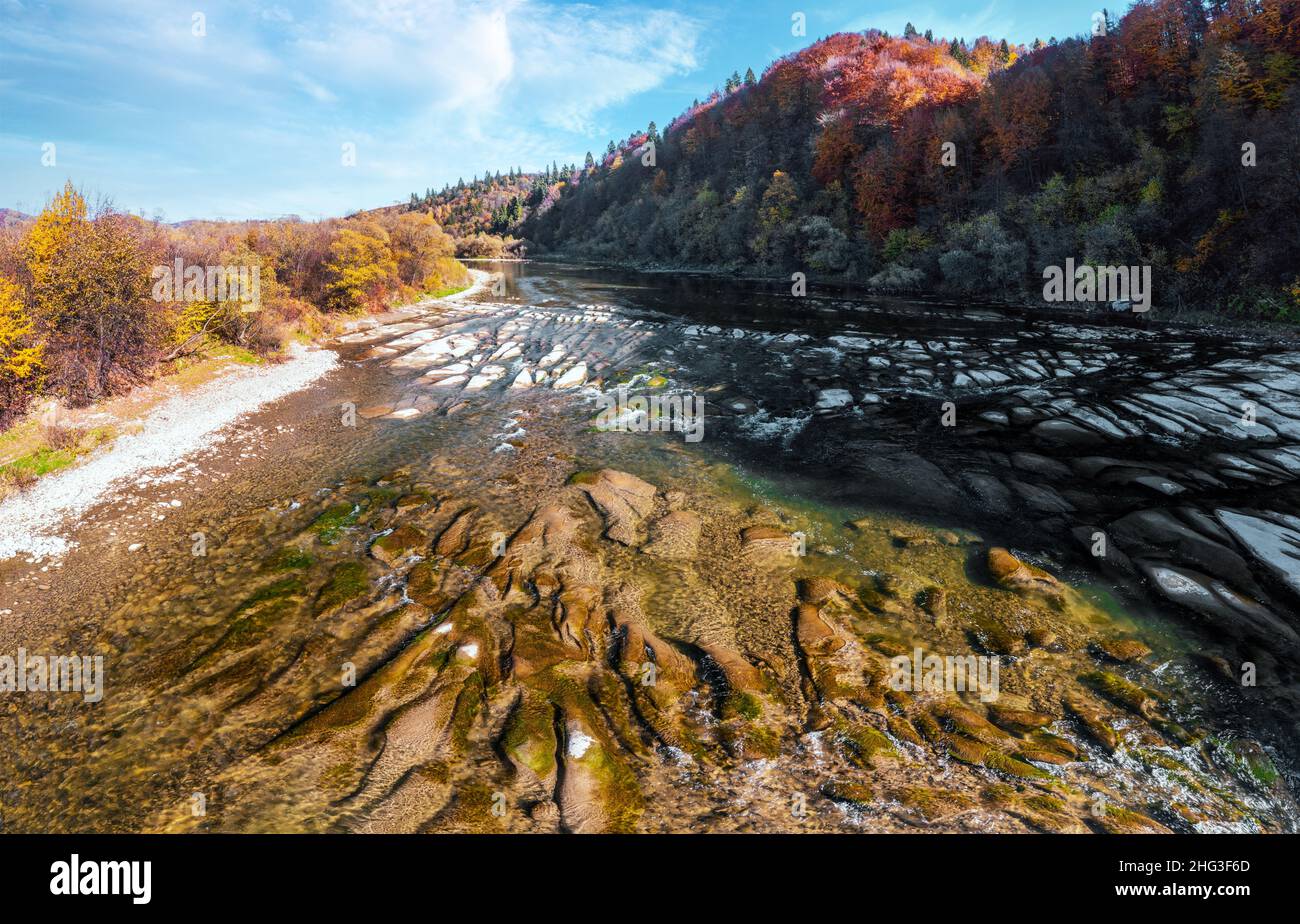 Shallow mountain river with rocky bottom and coniferous terracotta ...