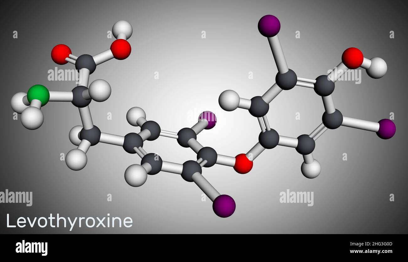 Levothyroxine, Lthyroxine, molecule. It is synthetic form of the