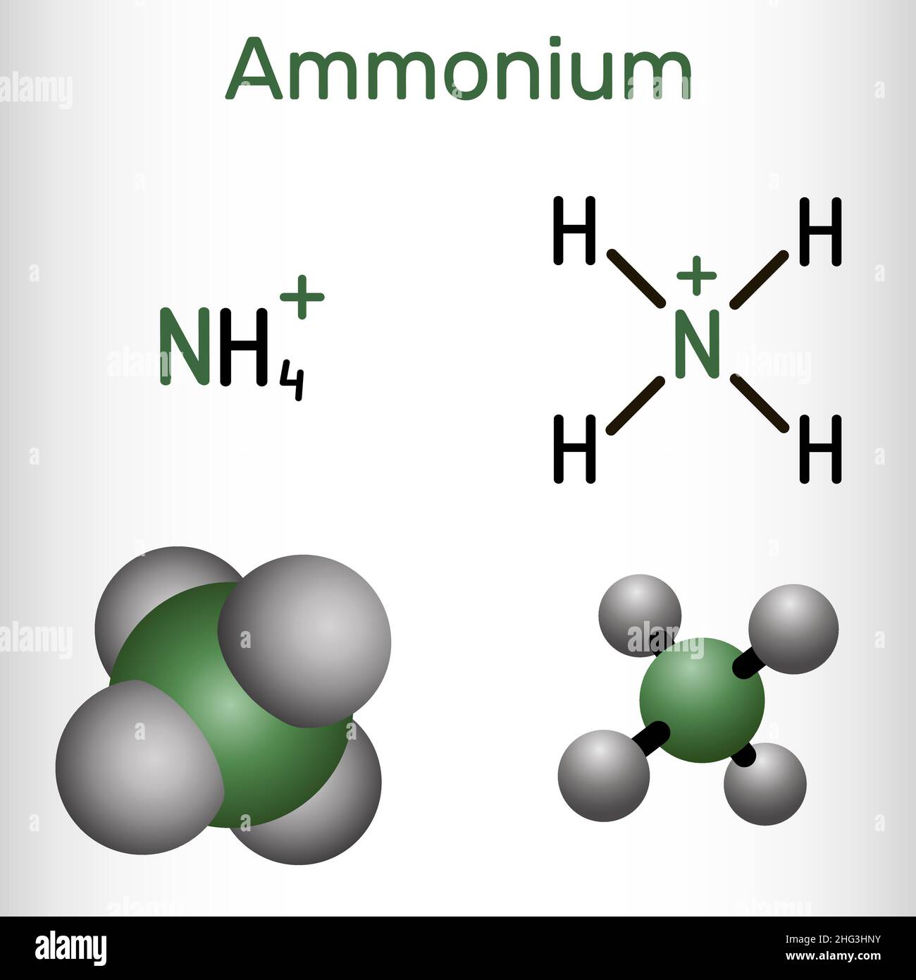 Ammonium cation, azanium molecule. It is positively charged polyatomic ...