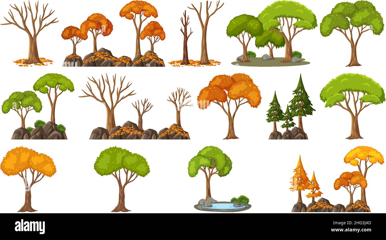 Set of four seasons trees on white background illustration Stock Vector ...