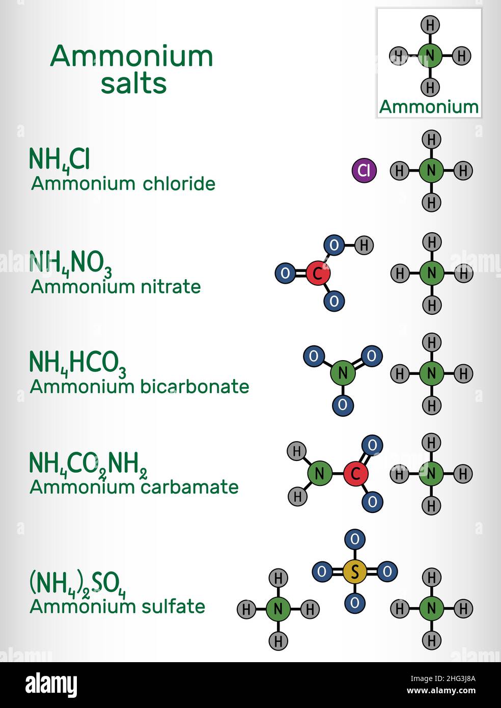 Ammonium salts: ammonium bicarbonate, ammonium carbamate, ammonium sulfate, ammonium nitrate, ammonium chloride molecule. Skeletal chemical formula. V Stock Vector