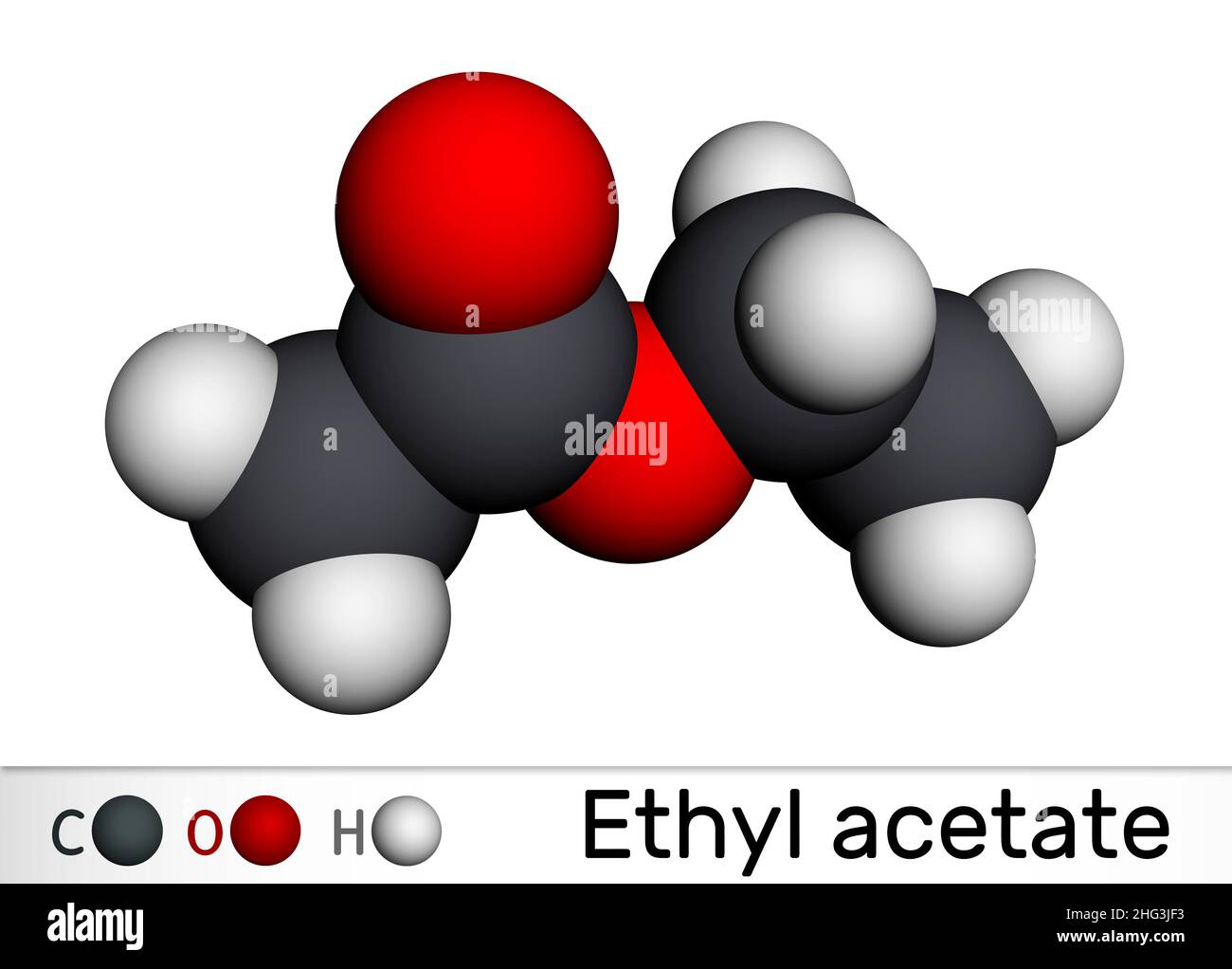 Ethyl acetate, ethyl ethanoate molecule. It is acetate ester, polar aprotic solvent, additional additive E1504. Molecular model. 3D rendering. Illustr Stock Photo