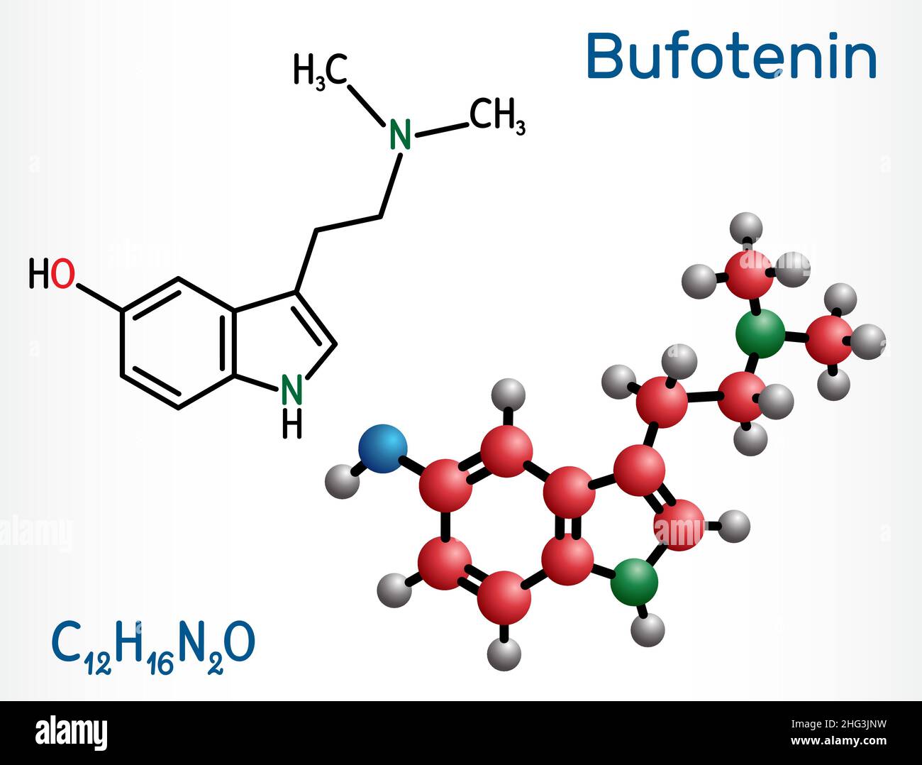Bufotenin, 5-HO-DMT, bufotenine molecule. It is alkaloid, tryptamine derivative, hallucinogenic serotonin analog, found in toad skins, mushrooms. Stru Stock Vector