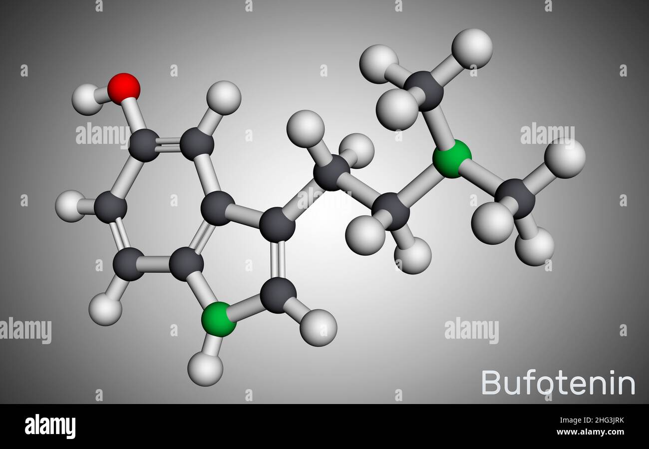 Bufotenin alkaloid molecule. It is tryptamine derivative, hallucinogenic serotonin analog, found in toad skins, mushrooms. Molecular model. 3D renderi Stock Photo