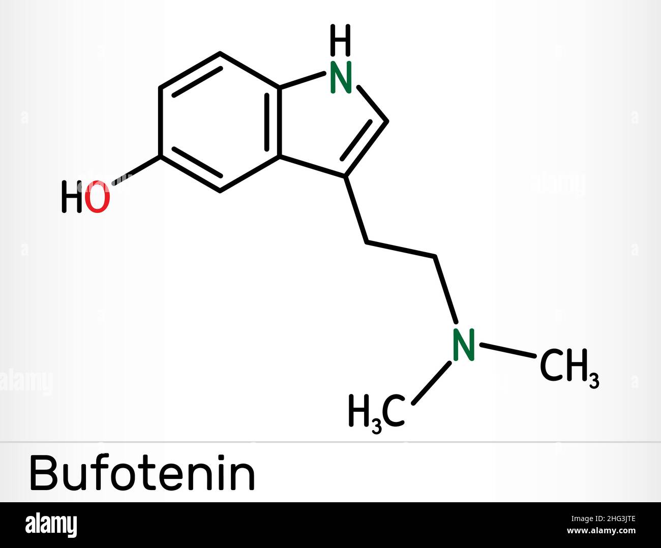 Bufotenin, 5-HO-DMT, bufotenine molecule. It is alkaloid, tryptamine derivative, hallucinogenic serotonin analog, found in toad skins, mushrooms. Skel Stock Vector