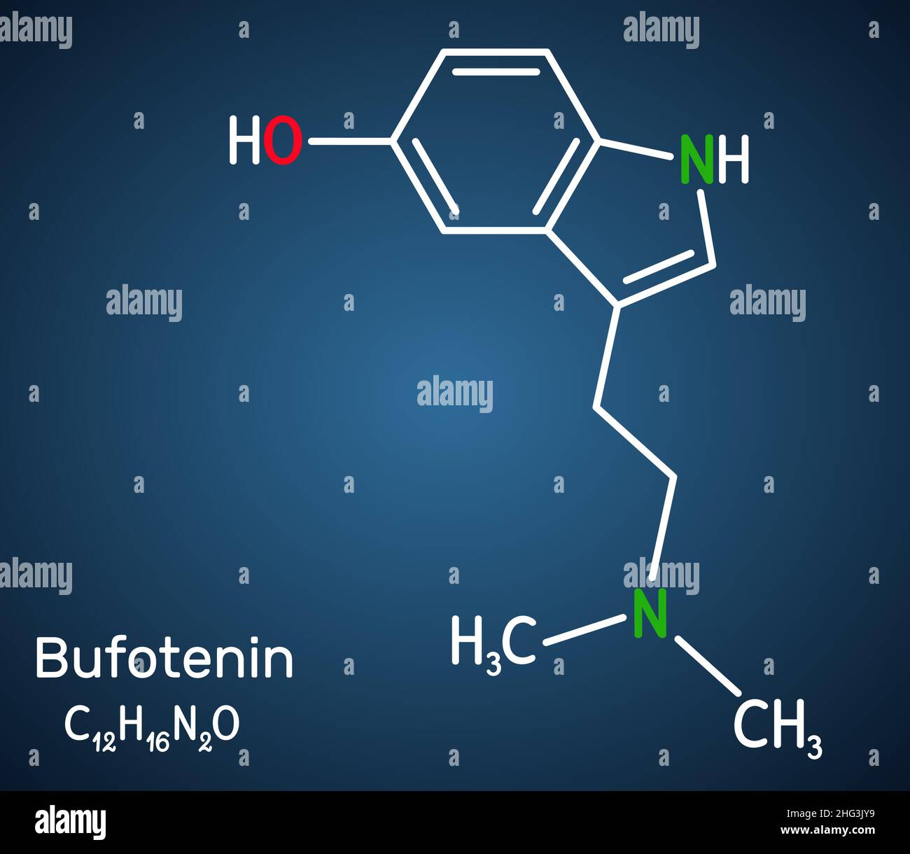 Bufotenin, 5-HO-DMT, bufotenine molecule. It is alkaloid, tryptamine derivative, hallucinogenic serotonin analog, found in toad skins, mushrooms. Stru Stock Vector