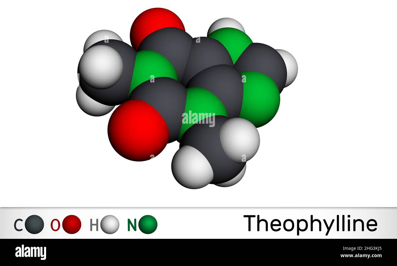 Theophylline or 1,3dimethylxanthine molecule. It is dimethylxanthine