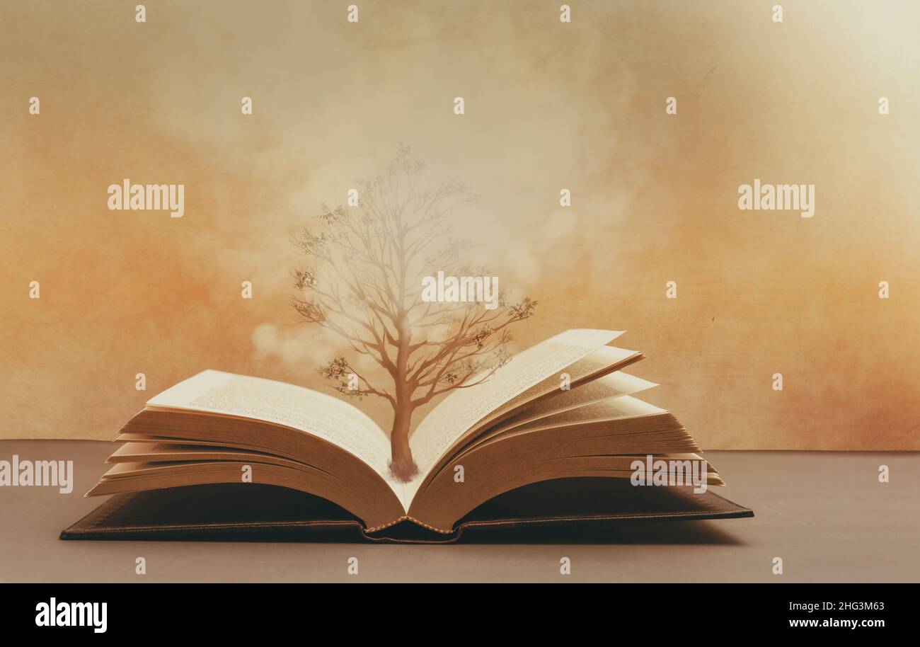The tree of knowledge , a tree growing from the pages of an  open book , fantasy image concept of knowledge and wisdom Stock Photo