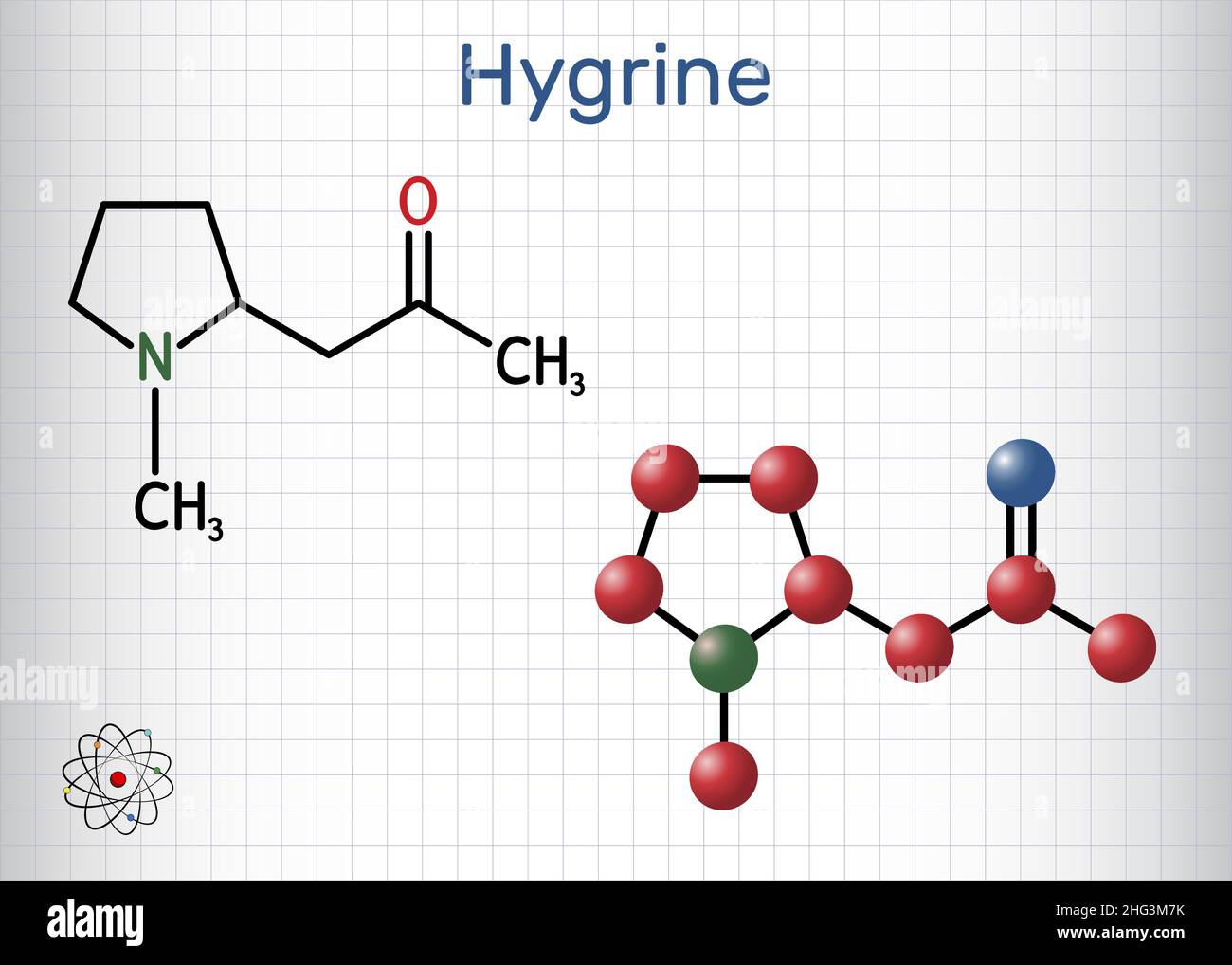 Hygrine pyrrolidine alkaloid molecule. It is found in the coca plant. Structural chemical formula and molecule model. Sheet of paper in a cage. Vector Stock Vector