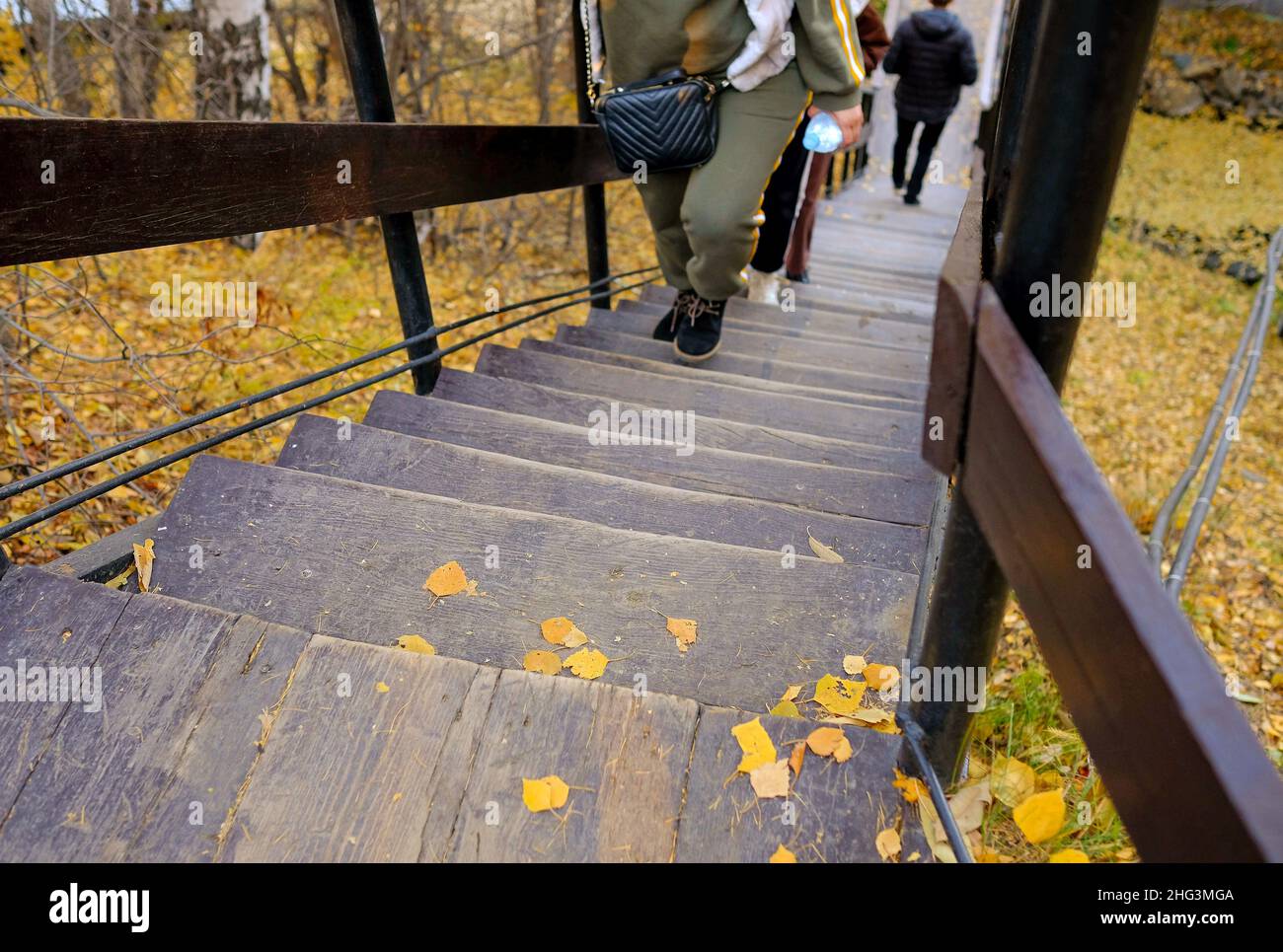 People climb the wooden stairs in the forest park. Stock Photo