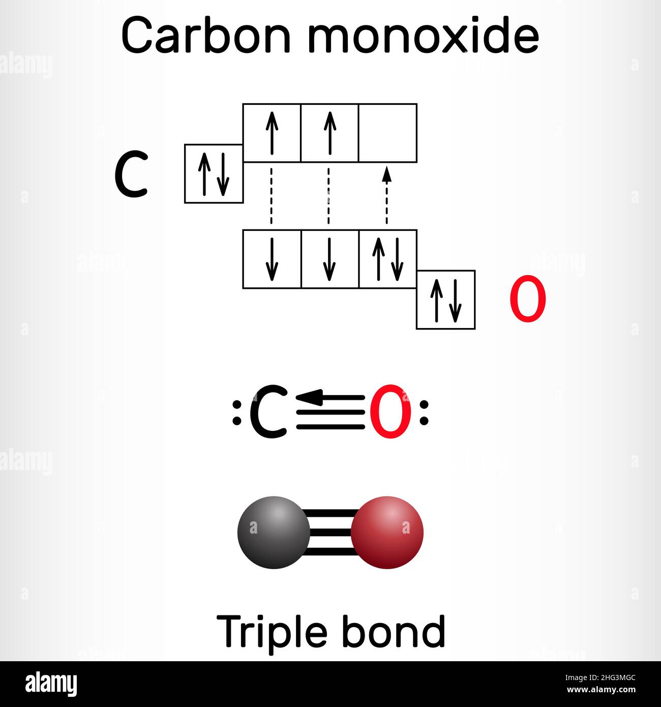 Carbon monoxide, CO molecule. Сarbon and oxygen atoms are connected by a  triple bond that consists of two pi bonds and one sigma bond. Vector  illustra Stock Vector Image & Art -