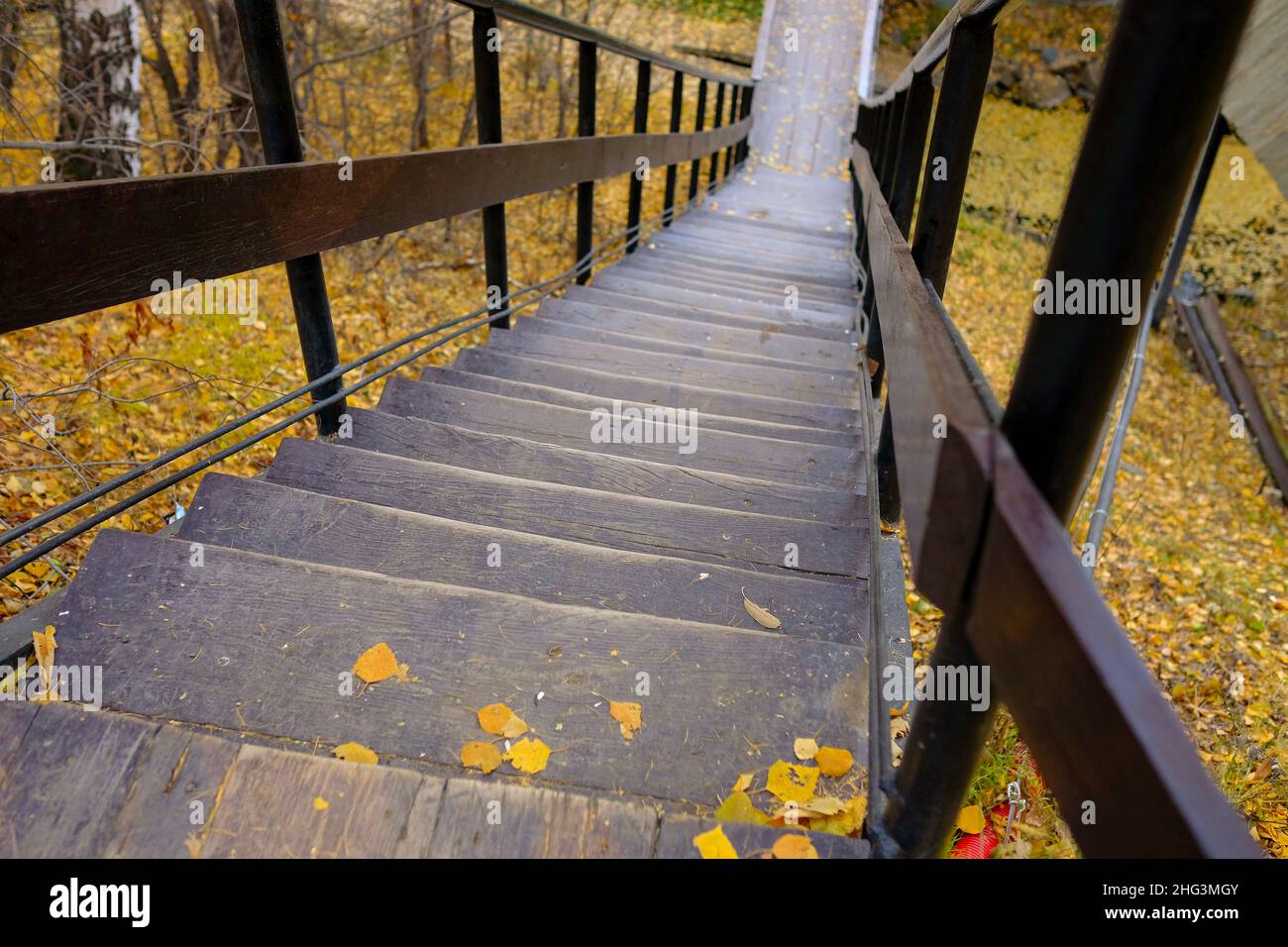 An empty wooden narrow staircase in the park goes down. Autumn steps. Stock Photo