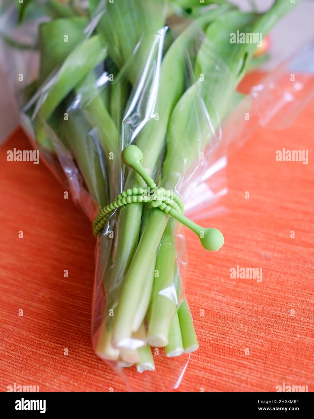 The bouquet was tied with a silicone cord. Stock Photo