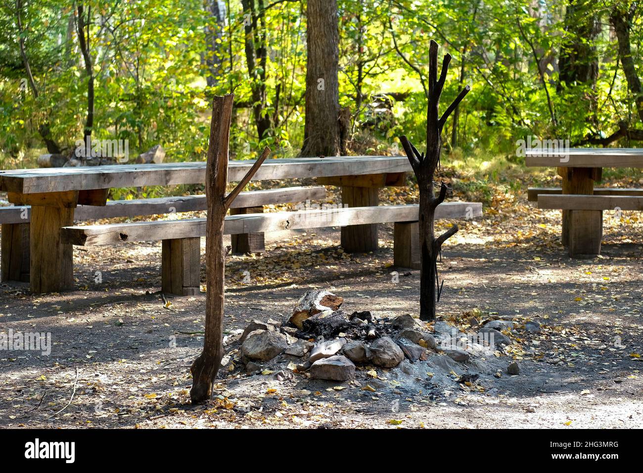 A place for cooking in the forest. Bonfire with sticks. No people. Summer day. Stock Photo