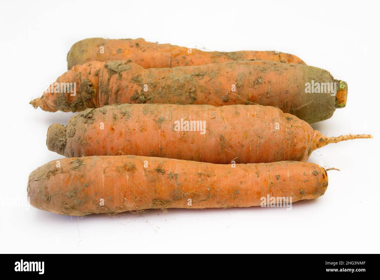 carrot with soil on white background Stock Photo - Alamy